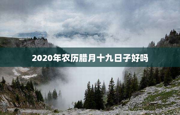 2020年农历腊月十九日子好吗