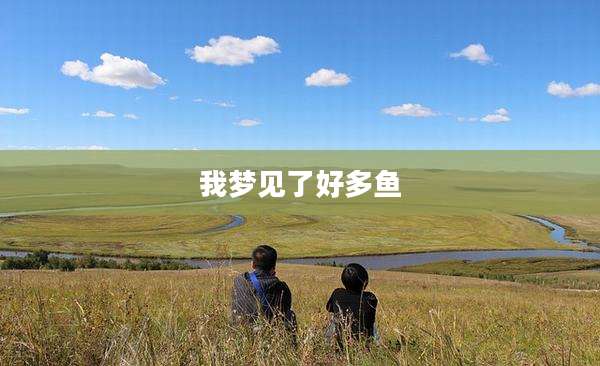 我梦见了好多鱼