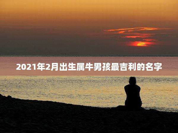 2021年2月出生属牛男孩最吉利的名字