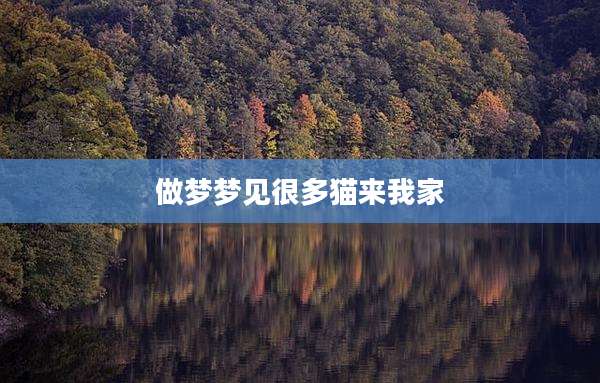 做梦梦见很多猫来我家