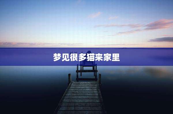 梦见很多猫来家里