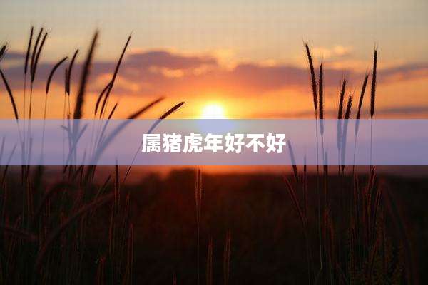 属猪虎年好不好