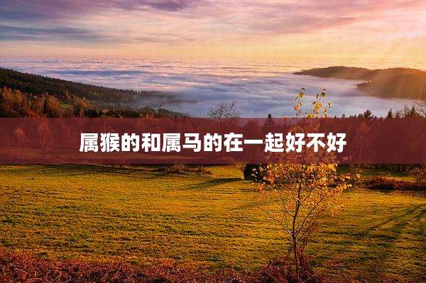 属猴的和属马的在一起好不好