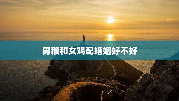 男猴和女鸡配婚姻好不好
