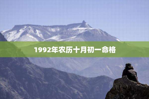 1992年农历十月初一命格
