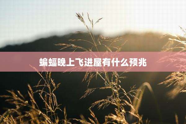 蝙蝠晚上飞进屋有什么预兆