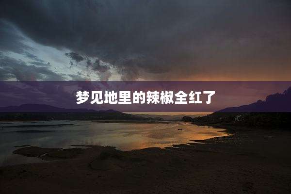 梦见地里的辣椒全红了