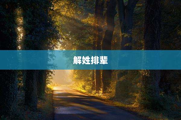 解姓排辈