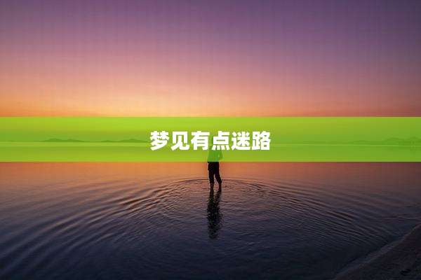 梦见有点迷路