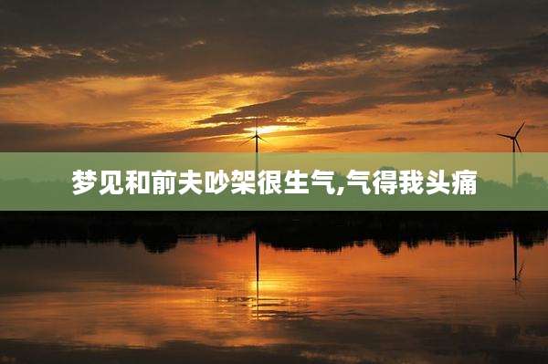 梦见和前夫吵架很生气,气得我头痛