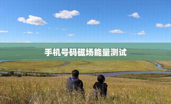 手机号码磁场能量测试