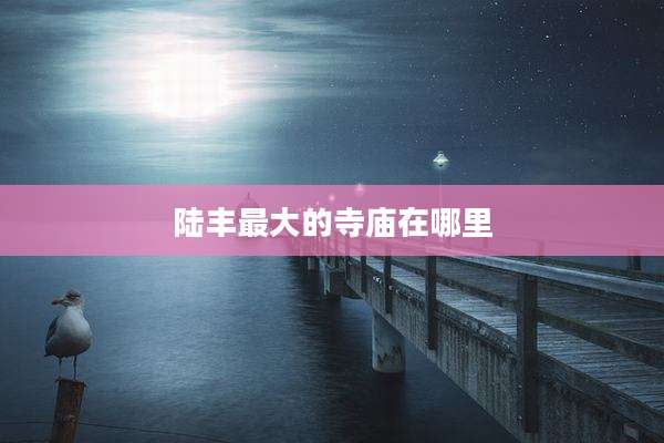 陆丰最大的寺庙在哪里