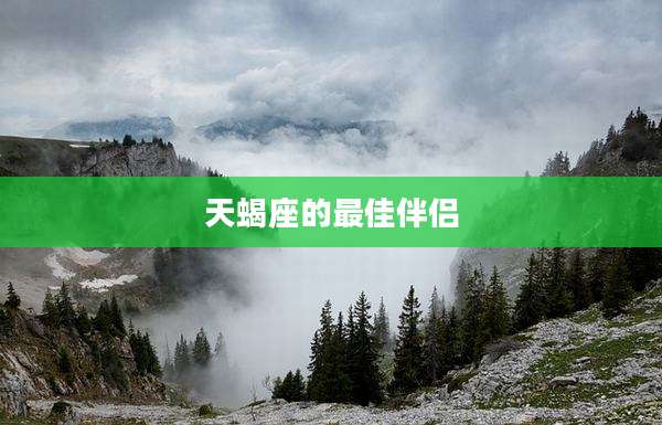 天蝎座的最佳伴侣