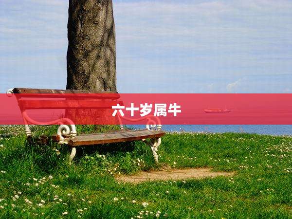 六十岁属牛