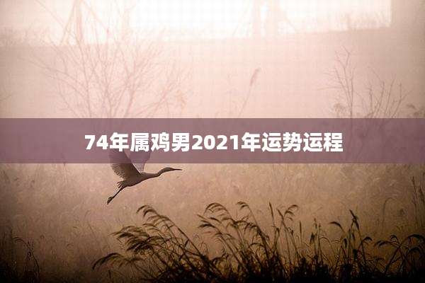74年属鸡男2021年运势运程
