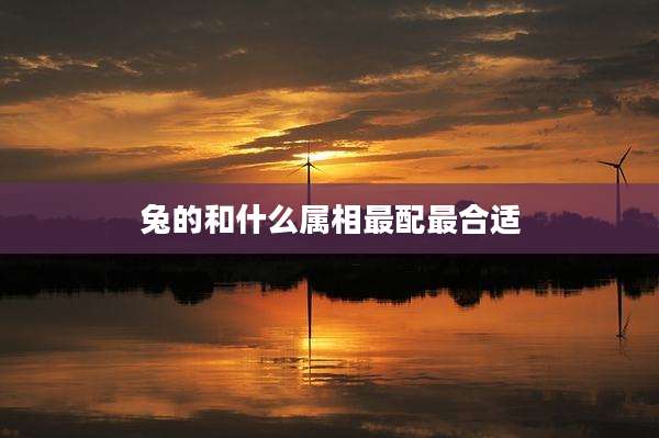 兔的和什么属相最配最合适