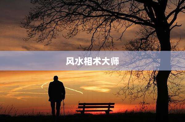 风水相术大师