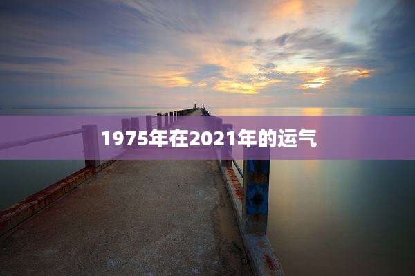 1975年在2021年的运气