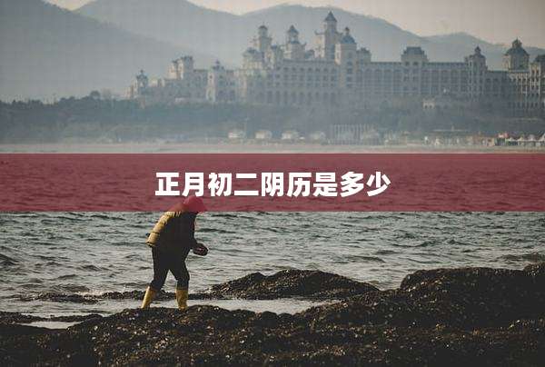 正月初二阴历是多少