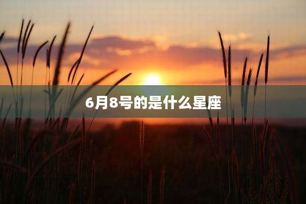 6月8号的是什么星座