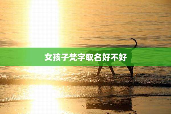 女孩子梵字取名好不好