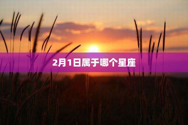 2月1日属于哪个星座
