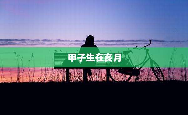 甲子生在亥月