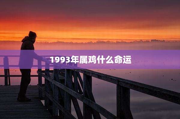 1993年属鸡什么命运