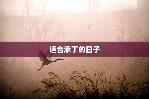 适合添丁的日子