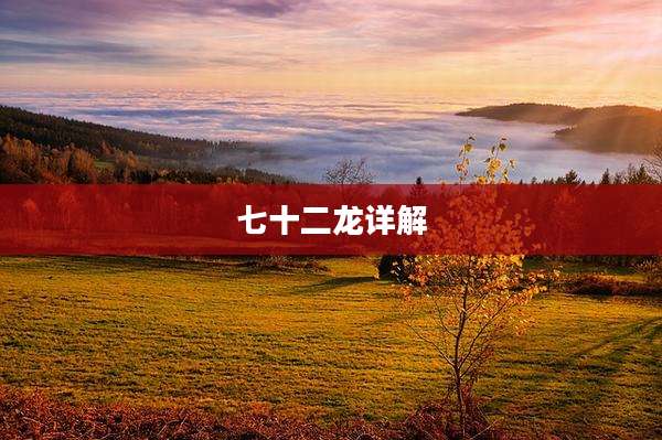 七十二龙详解