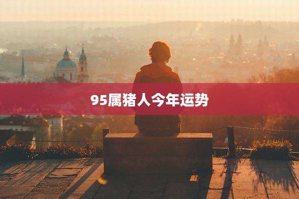 95属猪人今年运势
