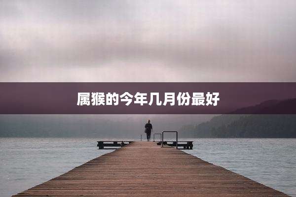 属猴的今年几月份最好