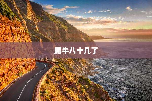 属牛八十几了
