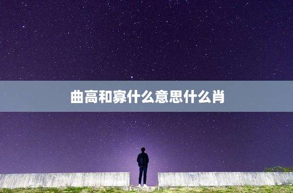 曲高和寡什么意思什么肖