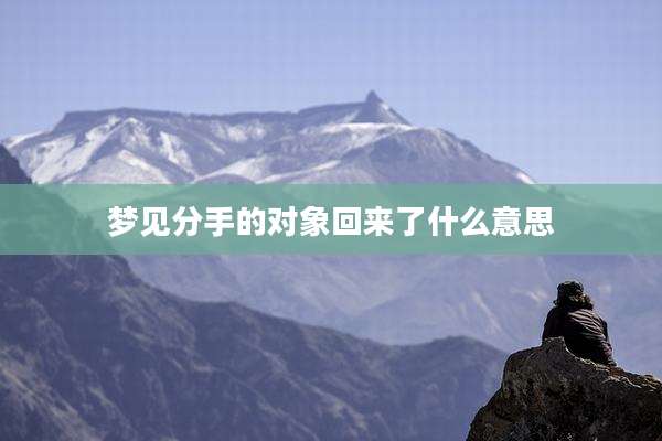 梦见分手的对象回来了什么意思