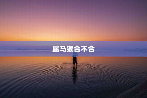 属马猴合不合
