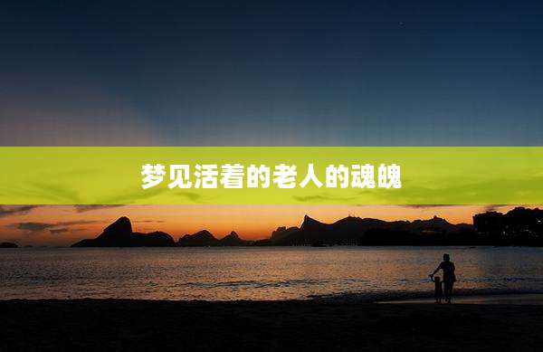 梦见活着的老人的魂魄