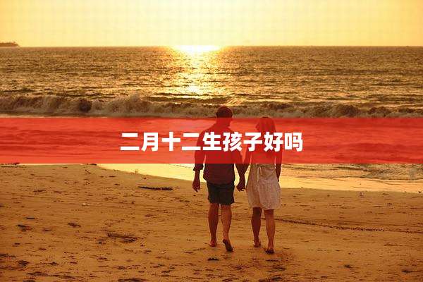 二月十二生孩子好吗