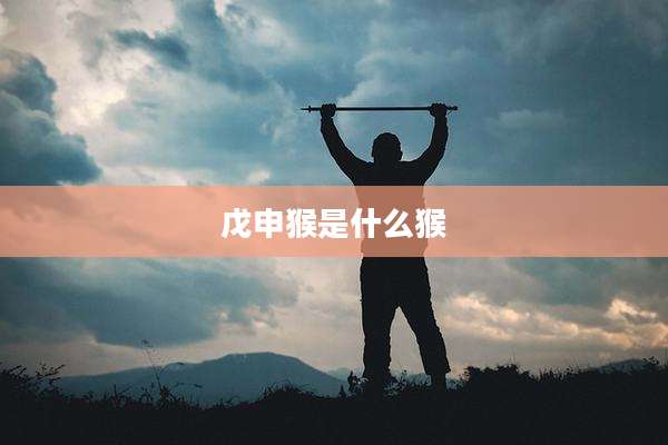 戊申猴是什么猴