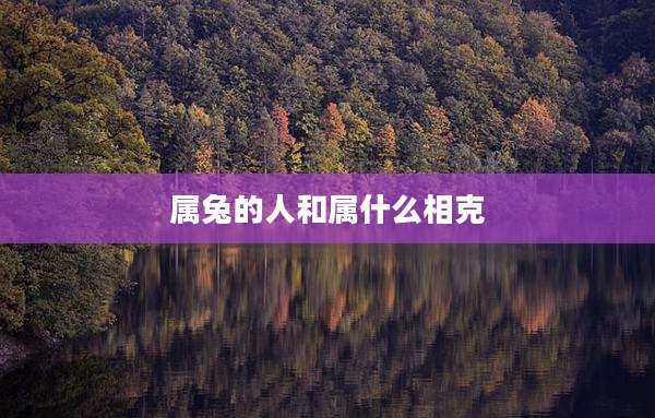 属兔的人和属什么相克