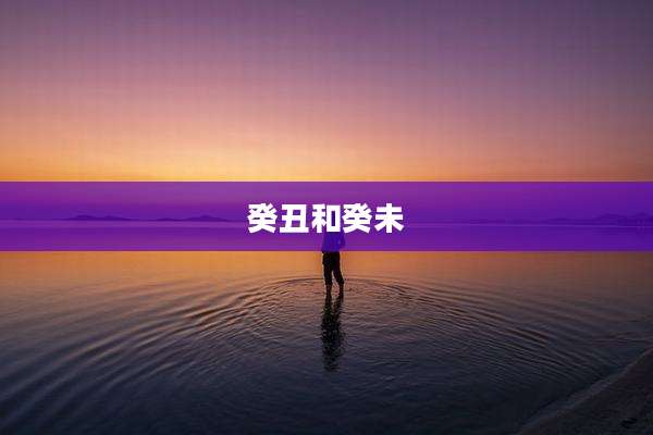 癸丑和癸未