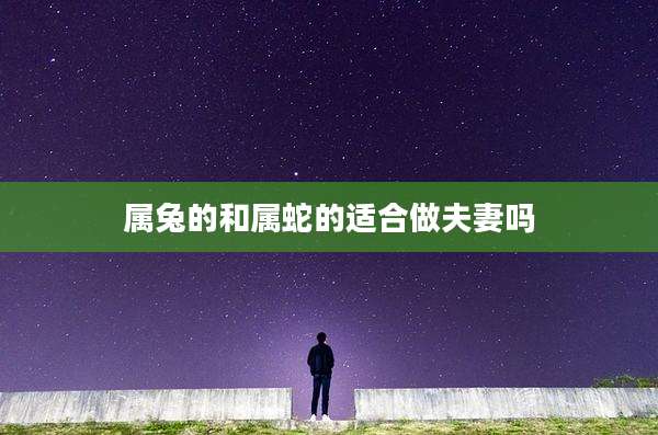 属兔的和属蛇的适合做夫妻吗