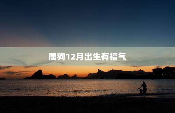 属狗12月出生有福气
