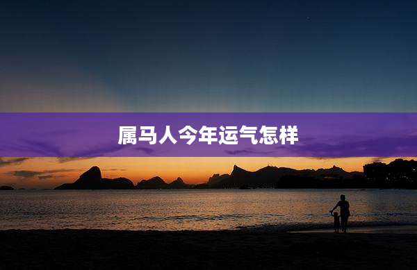 属马人今年运气怎样