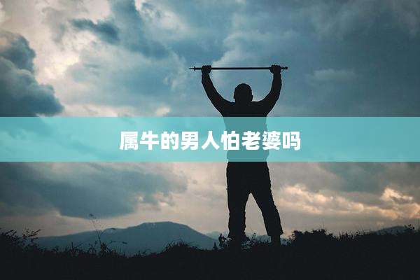属牛的男人怕老婆吗