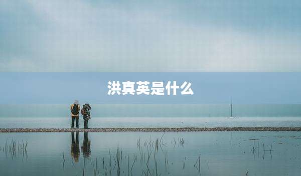 洪真英是什么
