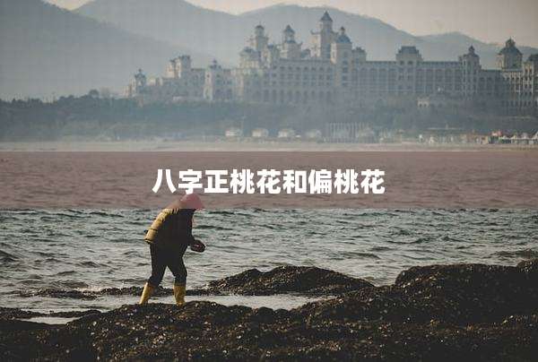 八字正桃花和偏桃花
