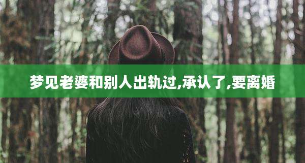 梦见老婆和别人出轨过,承认了,要离婚