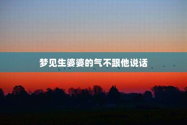 梦见生婆婆的气不跟他说话