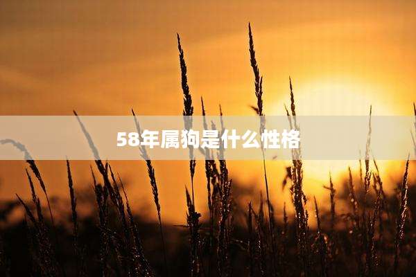 58年属狗是什么性格
